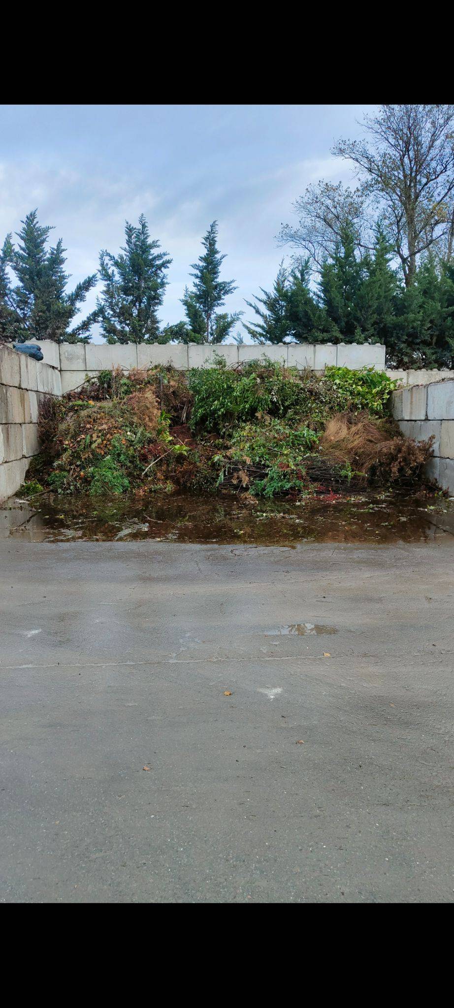 Location de benne pour des déchets verts a Pessac en Gironde 