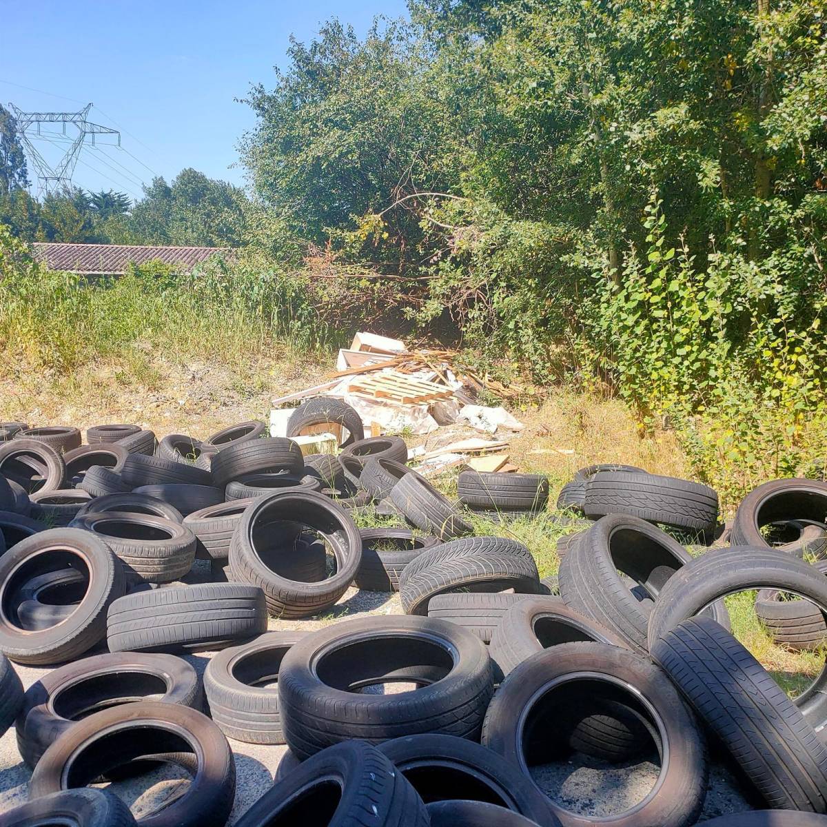 Dépôt sauvage près de Bruges débarrassé par RecyclExpert 