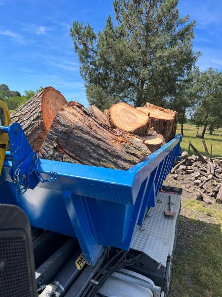 Location de benne de 8m3 pour du bois A dans toute la Gironde 