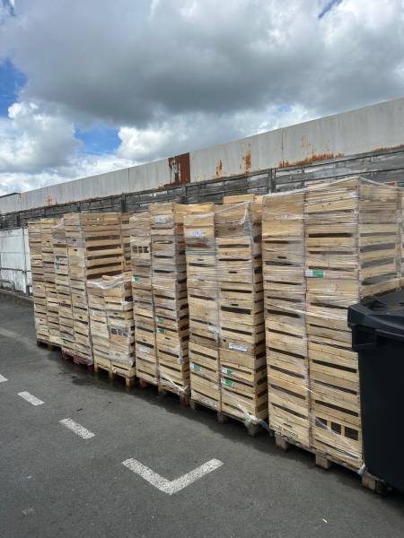 Collecte de cagette en bois à Bordeaux et dans toute la Gironde