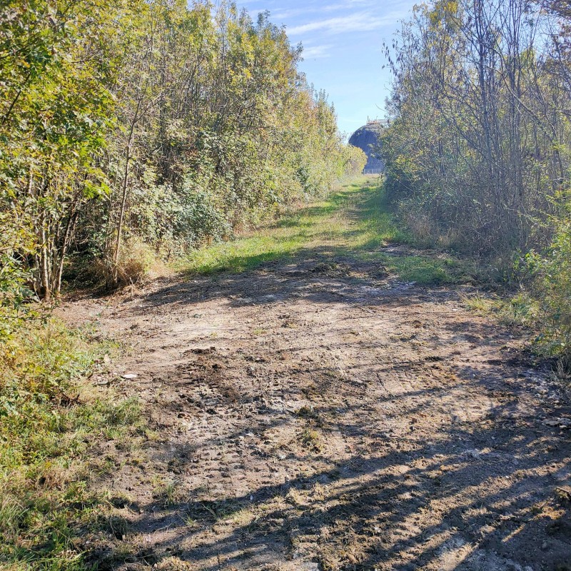 Débarras d'un dépôt sauvage sur la commune de Mérignac en Gironde