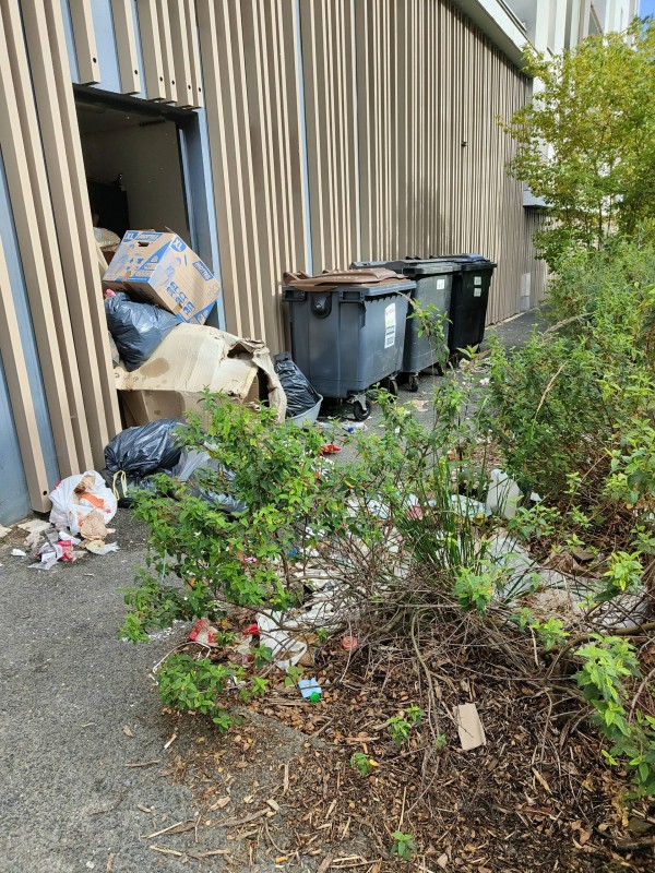 Évacuation d'encombrants et nettoyage d'un local poubelle pour syndic de copropriété à Lormont près de Bordeaux